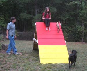 The a-frame Phill built for the dogs in the backyard of our Deer Creek home in Hoschton.  Phill Roey.  Emma Roey