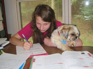 Emma and foster dog, Willie, who was happy to sit with her while she worked on her homeschooling.