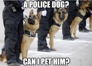 Police Dog